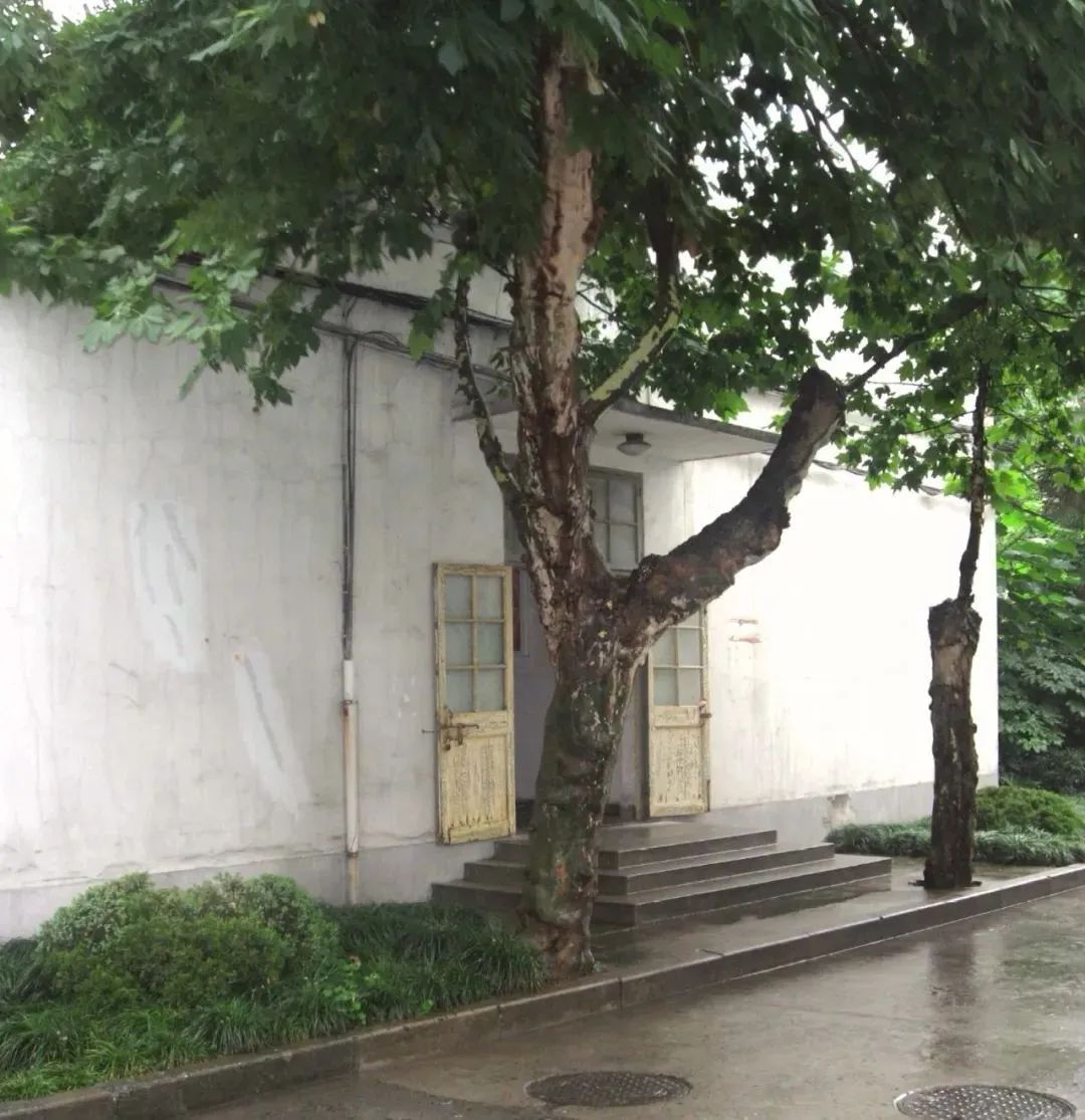 树林间的小路AI 生成的内容可能不正确。